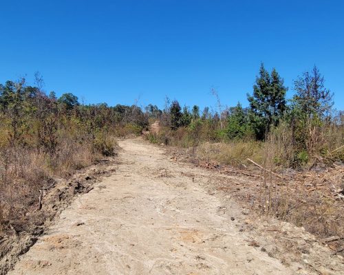 coosa-145-pic-land