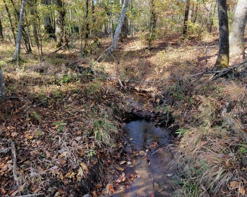 coosa-145-pic-small-creek