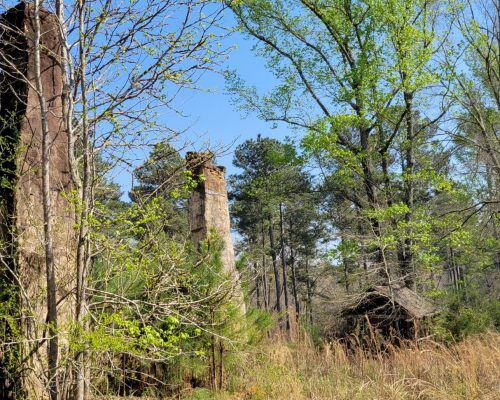 coosa-432-pic-old-house-site
