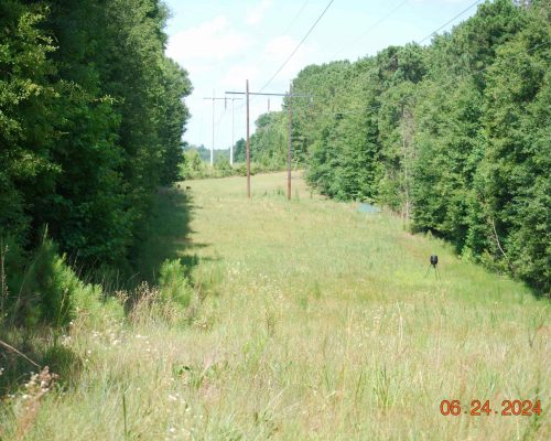 bullock-133-pic-power-line