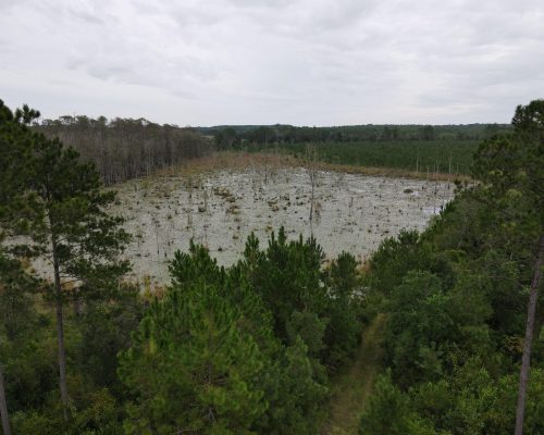 lenhart-bay-wet-aerial