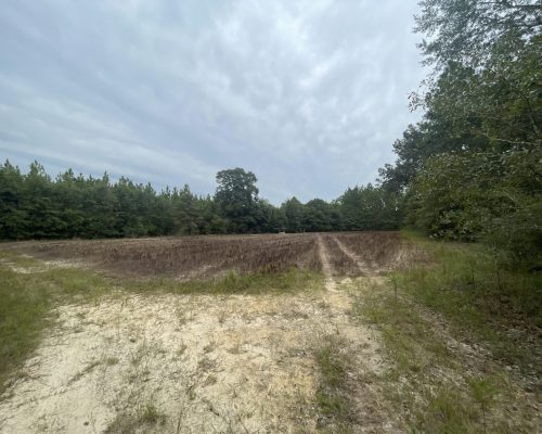 weldon-bay-west-food-plot-ground