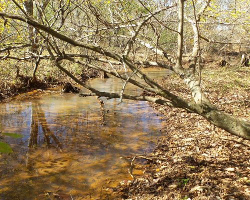 chambers-209-creek-2
