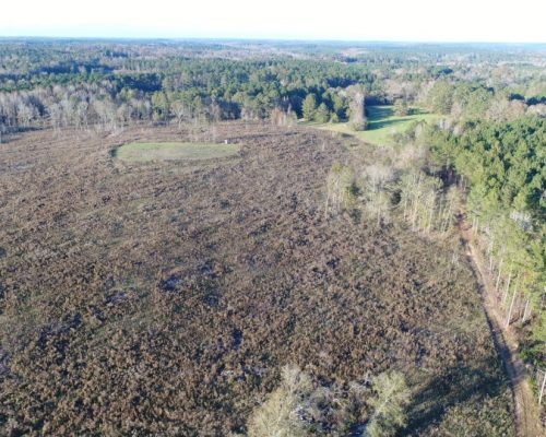 chambers-209-drone-green-fields