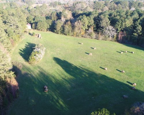 chambers-209-pic-field-2