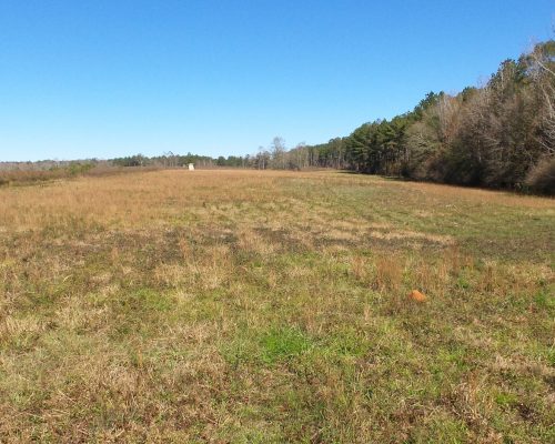 chambers-209-pic-field-3