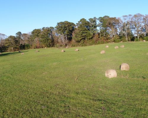 chambers-209-pic-field