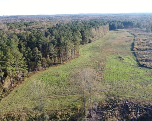 chambers-209-pic-green-field-drone