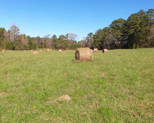 chambers-209-pic-hay-bales