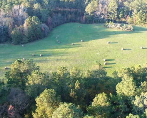 chambers-209-pic-hay-field.jpg-2