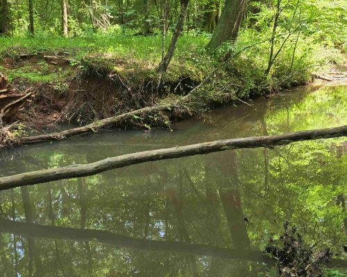 auburn-71-pic-creek-2