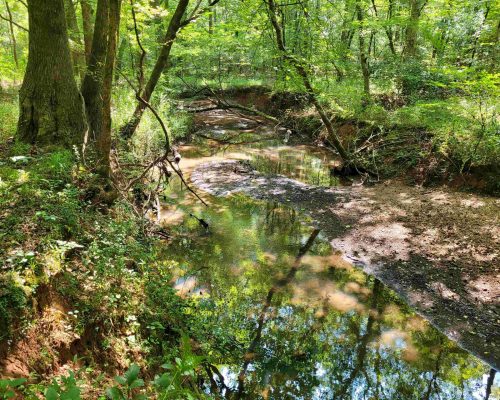 auburn-71-pic-creek-4