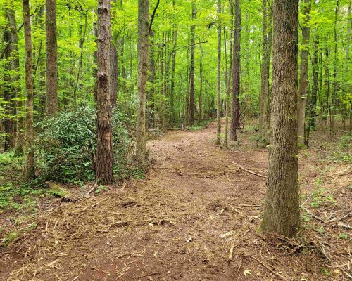 auburn-71-pic-inter-road-2