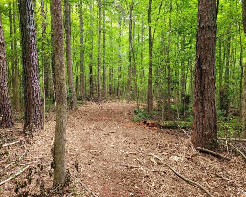 auburn-71-pic-inter-road-3