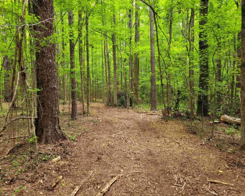 auburn-71-pic-inter-road