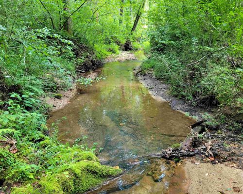 chambers-260-pic-creek chambers-260-pic-creek