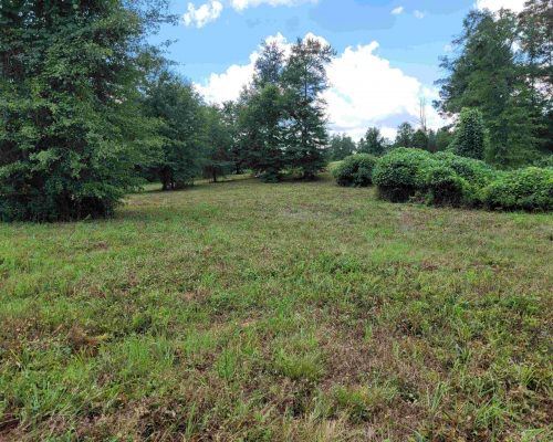 chambers-260-pic-field chambers-260-pic-field