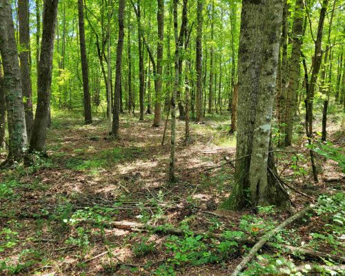 chambers-260-pic-hw-2 chambers-260-pic-hw-2