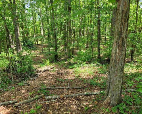 chambers-260-pic-hw chambers-260-pic-hw