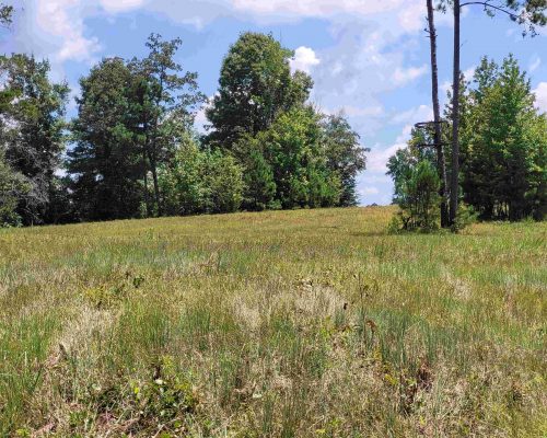 chambers-260-pic-ladder-stand chambers-260-pic-ladder-stand