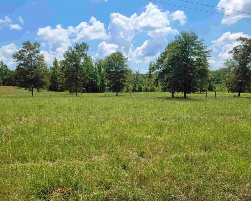 chambers-260-pic-open-4 chambers-260-pic-open-4