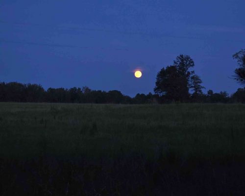 chambers-280-david-moon