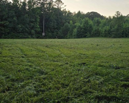 chambers-280-green-field-2-n