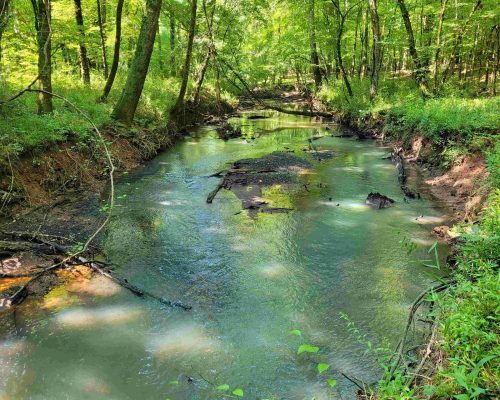 chambers-280-pic-creek-2