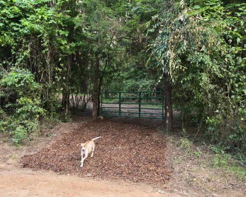 chambers-280-pic-gate-n