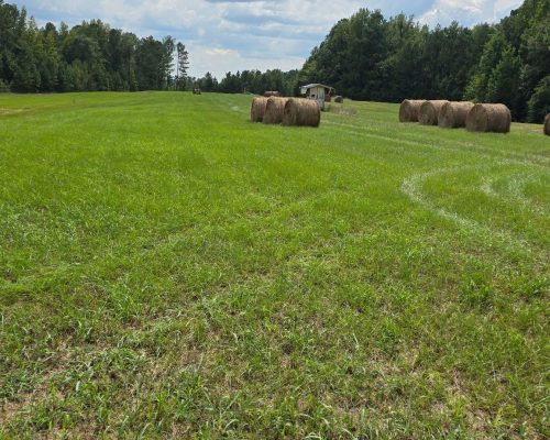 chambers-280-pic-hay-bails