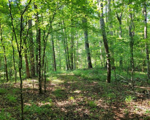 chambers-280-pic-hw-4