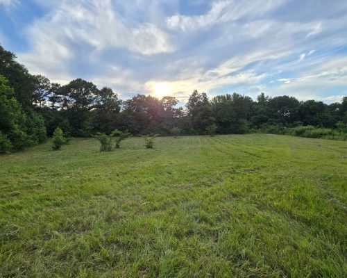 chambers-280-pic-open-sun