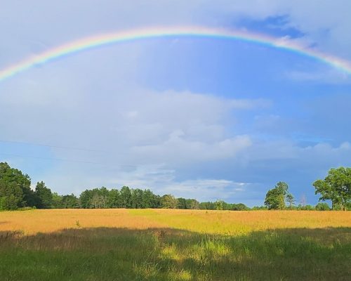 chambers-280-pic-rainbow