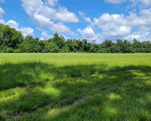 auburn-150-pic-field-2