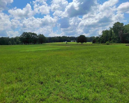 auburn-150-pic-field-behind-house