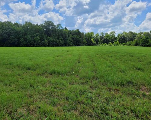 auburn-150-pic-field