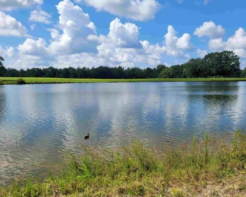 auburn-150-pic-lake-2