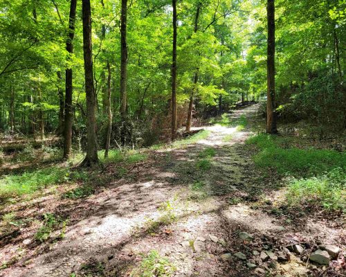 auburn-150-pic-trail