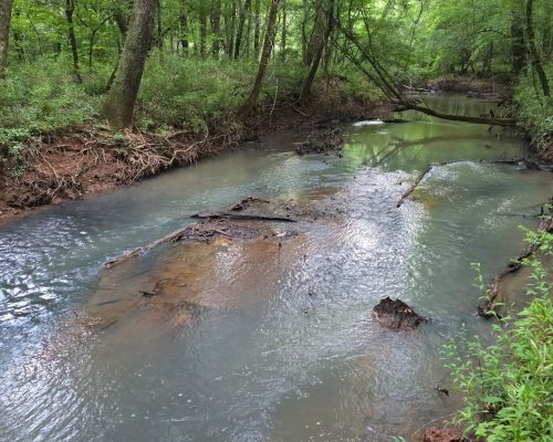 chambers-280-david-creek