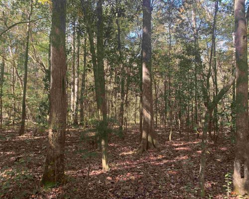 pike-286-pic-5-hw-2-wide