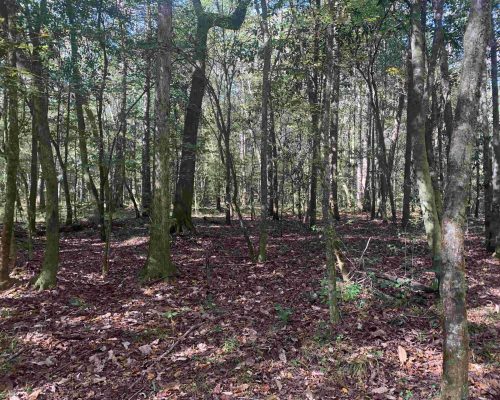 pike-286-pic-5-hw-3-wide