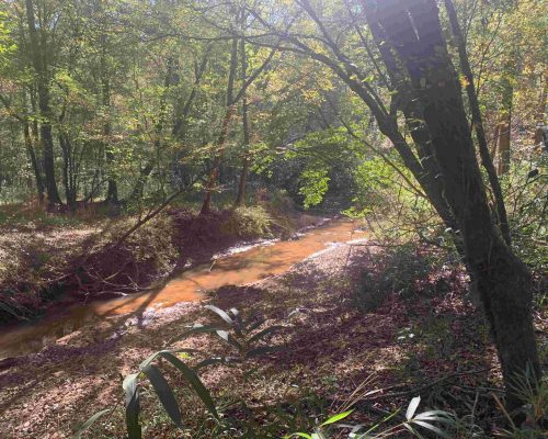 pike-286-pic-6-creek-2-wide