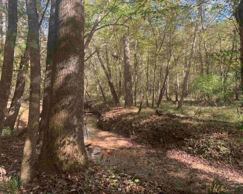 pike-286-pic-6-creek-3-wide