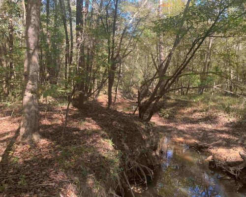 pike-286-pic-6-creek-wide