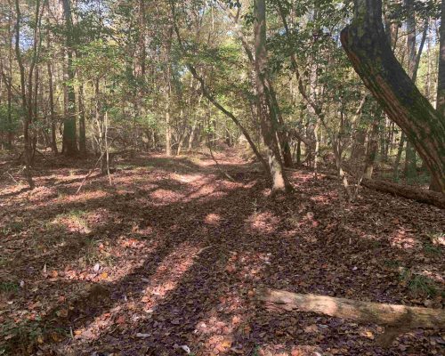 pike-286-pic-hw-2-wide