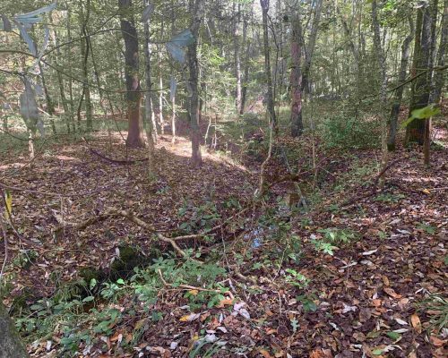 pike-286-pic-small-creek-wide