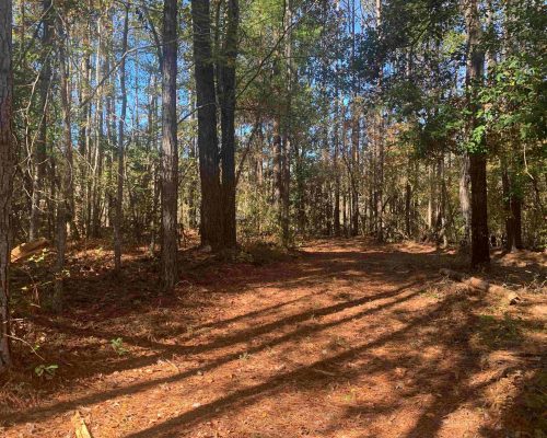 pike-286-pic-timber-wide