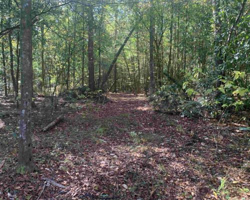 pike-286-pic-trail-wide