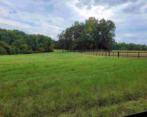 macon-40-pasture-2 macon-40-pasture-2