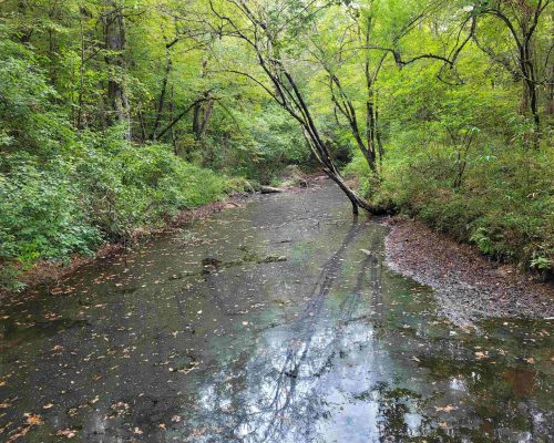macon-40-pic-creek macon-40-pic-creek